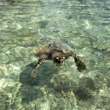 IMG_0156