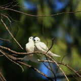 IMG_1910