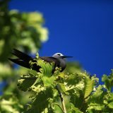 IMG_1968